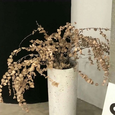 Furry绘画改稿思路福瑞交流群